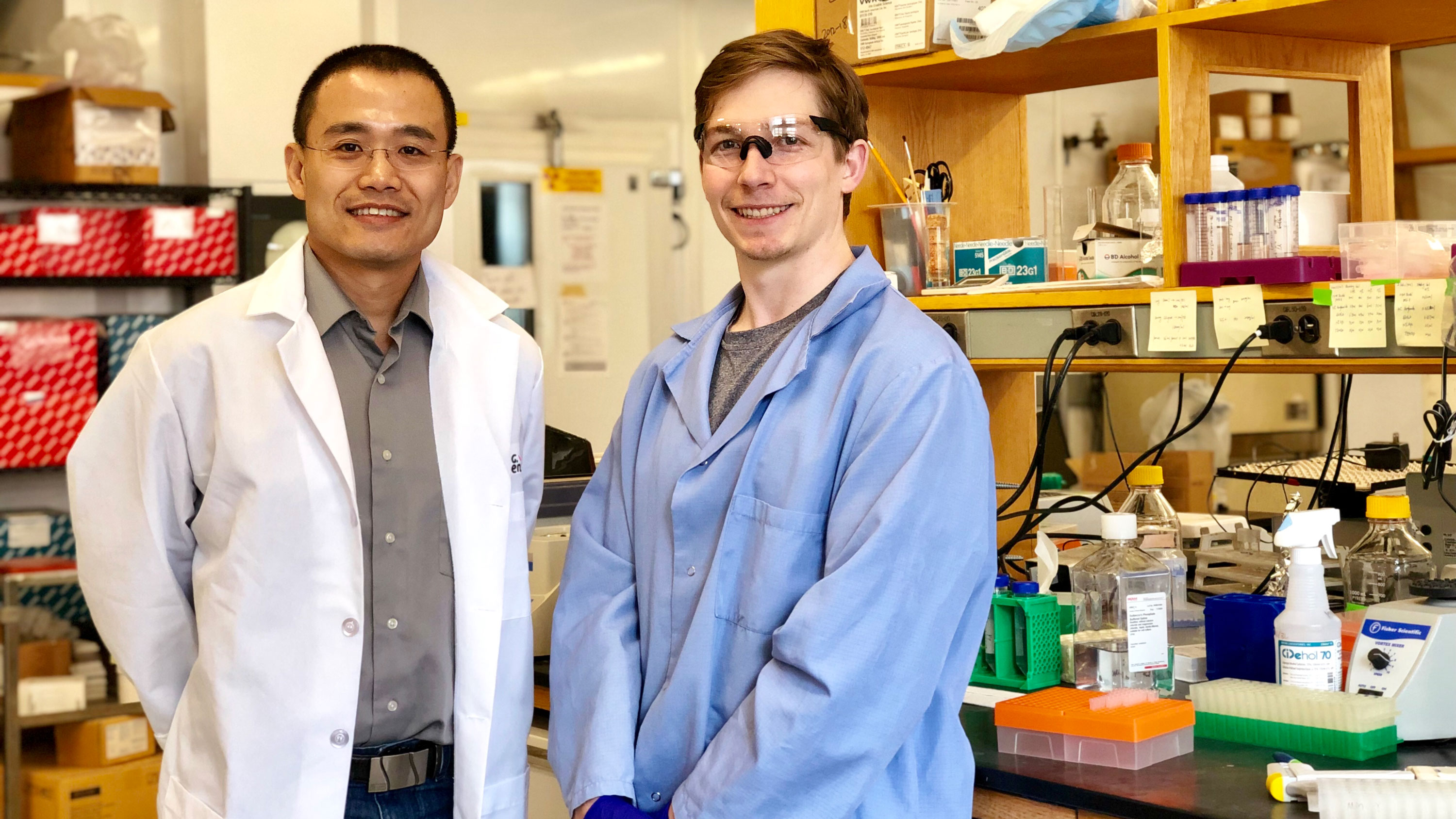 New Cancer Therapy From Yibin Kang's Lab Holds Potential To Switch Off ...